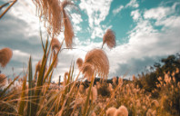 留学新西兰八大费用介绍