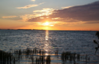 留学新西兰航空专业优势院介绍