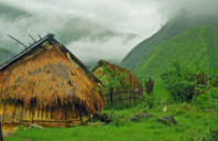 留学新西兰高薪专业介绍