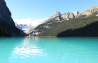 留学新西兰优势院校推荐