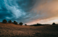 新西兰热门专业及留学优势介绍