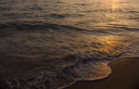 留学新西兰本科优势专业介绍