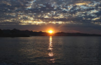 新西兰留学奖学金介绍（上）