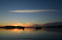 留学新西兰研究生热门专业介绍