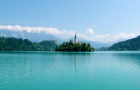 留学新西兰理工学院如何?