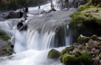 加拿大留学院校录取规律