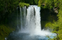 留学加拿大如何选择院校?(上)