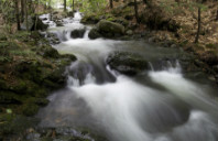 英国留学选专业要点介绍