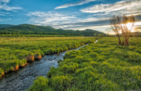 美国交互设计专业院校推荐