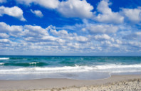 留学美国佛罗里达州立大学音乐学院专业介绍