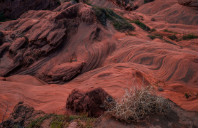 美国插画专业优势院校介绍