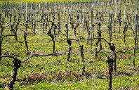 美国留学如何按照地理位置选择学校？