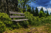 留学美国密歇根州立大学如何？（上）