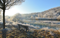 留学美国弗吉尼亚大学如何？