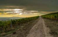 留学美国南加州传媒学院如何？