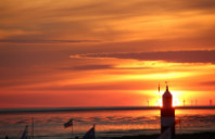 美国都有哪些热门的研究型大学?(下)