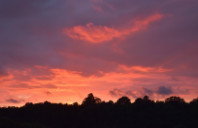 美国商科受欢迎的原因