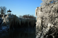 美国法学专业都有哪些热门院校？