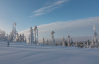 美国心理学专业研究方向介绍