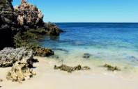 留学美国心理专业如何？