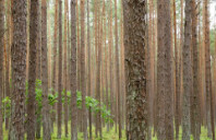 留学美国电气专业如何？（下）