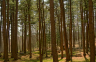 美国传媒专业优势院校推荐（上）