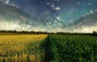 美国留学精算专业就业前景介绍