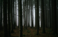 美国哪些专业就业率高?