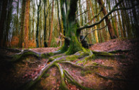 美国留学会计专业都有哪些方向?