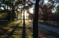 美国会计专业优势院校推荐