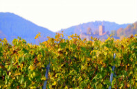 美国市场营销专业分类解析