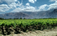 留学美国商业分析专业解析（上）