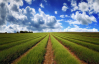 留学哥伦比亚研究生介绍(下)