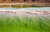 留学美国莱斯大学研究生优势介绍