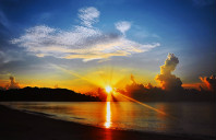 留学澳洲悉尼大学兽医专业如何？