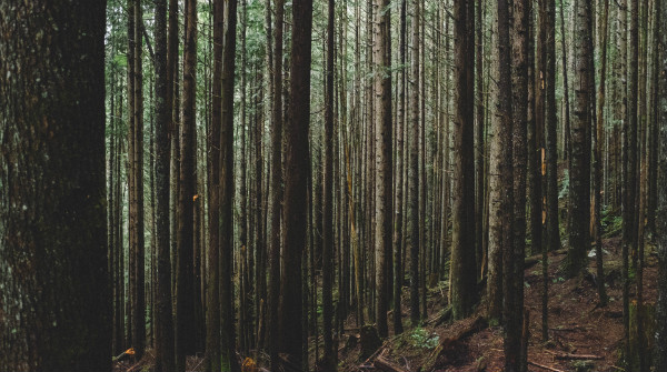 澳洲热门专业就业前景介绍