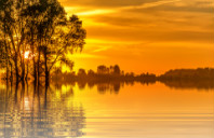 澳洲留学如何选择艺术院校?