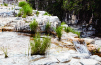 澳洲园林景观设计专业院校推荐(上)