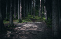 澳洲园林景观设计专业院校推荐(下)