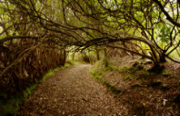 留学墨尔本大学建筑学专业解析(下)