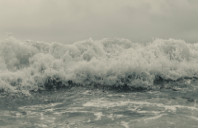 留学澳洲公共卫生专业解析（上）