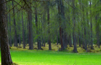 留学澳洲公共卫生专业解析（下）