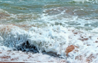 留学墨尔本大学教育专业详解（下）