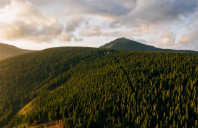 留学澳洲精算专业前景如何?