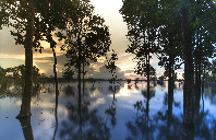 澳洲墨尔本大学金融专业介绍