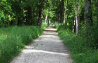 澳洲适合文科生的留学专业有哪些?(下)