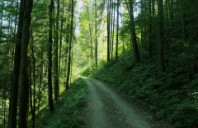 澳洲墨尔本大学本科会计介绍(下)