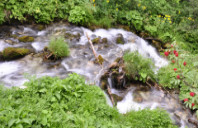 高中毕业留学新西兰有哪些优势?