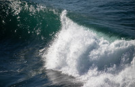 新西兰留学都有哪些吸引力?(下)