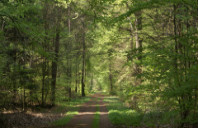 梅西大学和奥塔哥大学哪个好?(下)